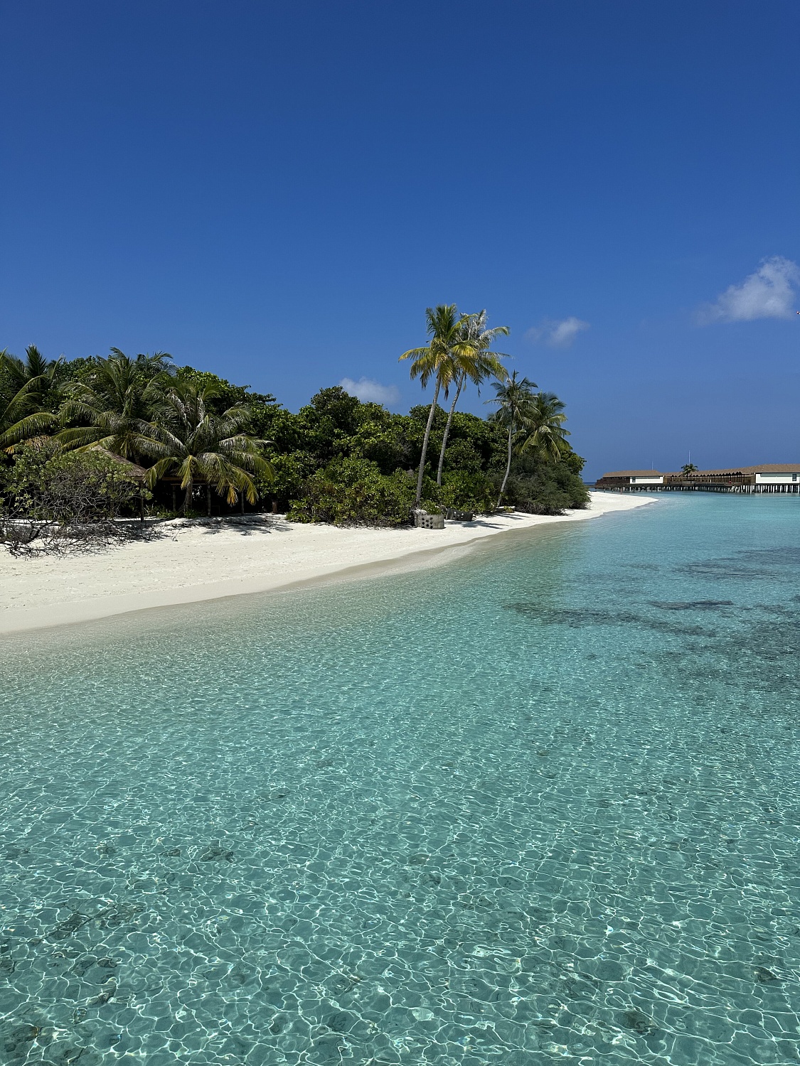 Райские Мальдивы